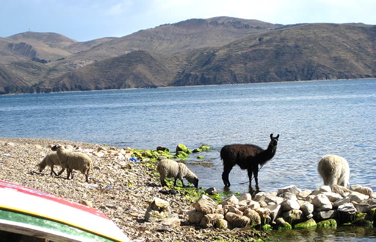 Women in Rural Development, Bolivia