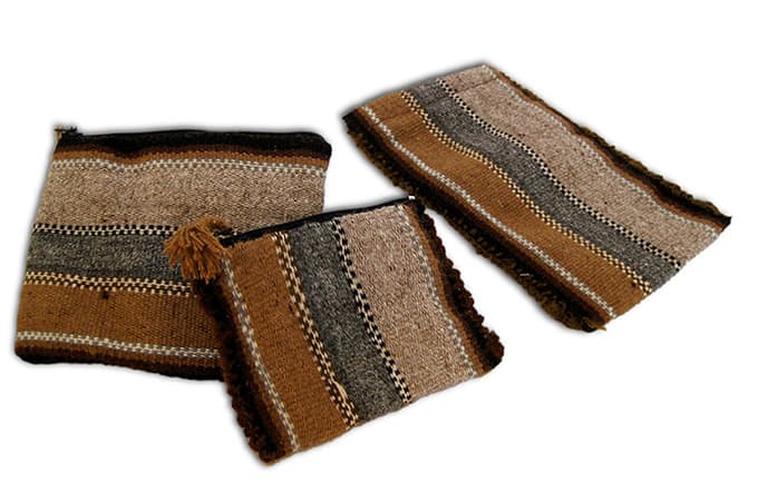 Women in Rural Development, Bolivia