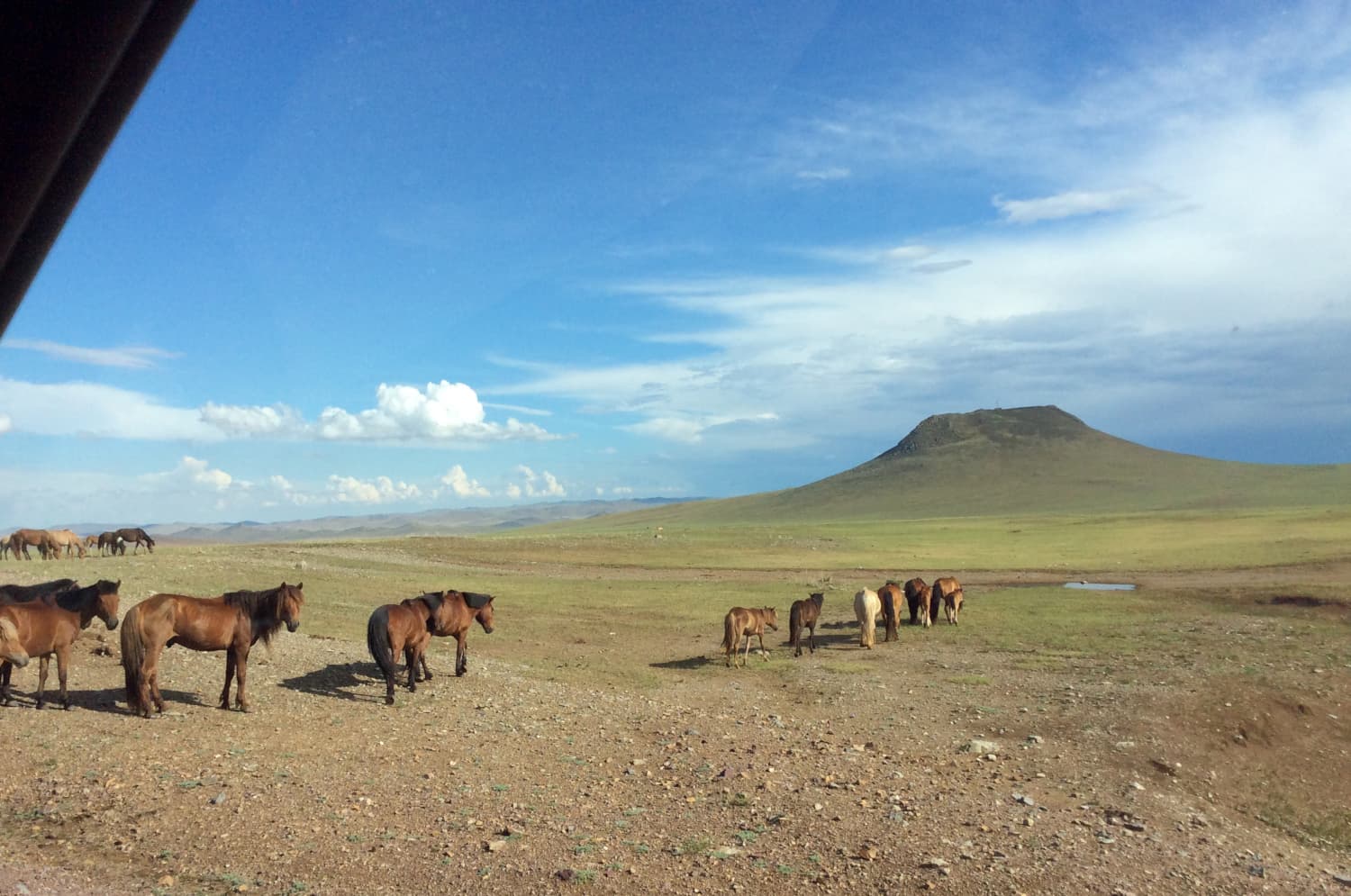 Mongolian Quilting Center